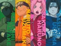 team 7